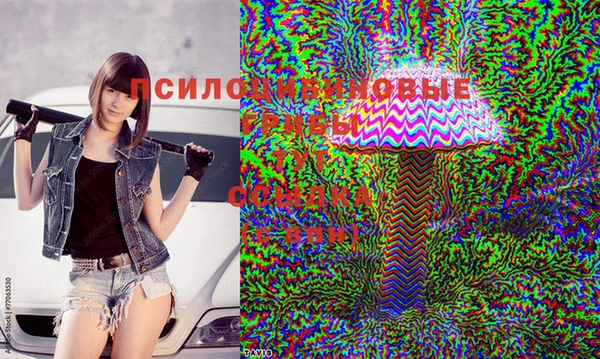 меф Алексин