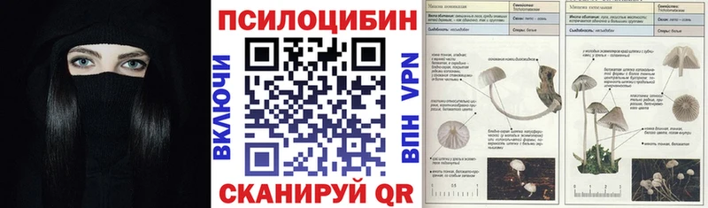 Псилоцибиновые грибы ЛСД  Юрьев-Польский 