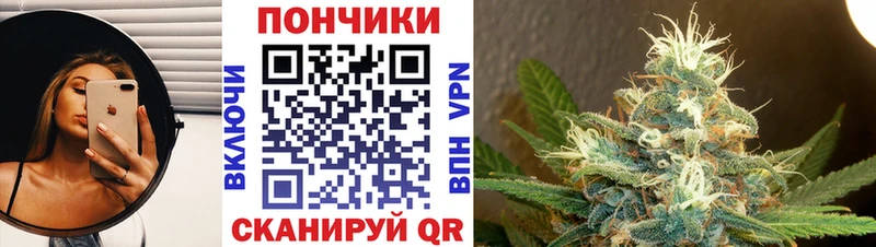 Конопля ГИДРОПОН  Юрьев-Польский 